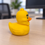 Gigachad Duck