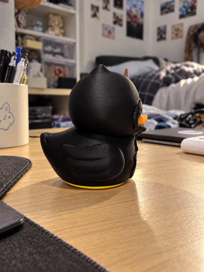Introvert Duck