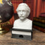 Albert Einstein - Talking Busts - Plastic Collectible Toy - Press The Button for a Quote or Fun Fact