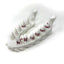 Dragon Fang Dice Set with Jaw Dice Holder - Dragon Teeth Dice - 8 Piece D20 Set with D2 - Tabletop Roleplaying Games - Dungeons and Dragons - DND - D&D