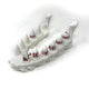 Dragon Fang Dice Set with Jaw Dice Holder - Dragon Teeth Dice - 8 Piece D20 Set with D2 - Tabletop Roleplaying Games - Dungeons and Dragons - DND - D&D
