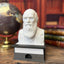 Charles Darwin - Talking Busts - Plastic Collectible Toy - Press The Button for a Quote or Fun Fact