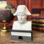 Napoleon Bonaparte - Talking Busts - Plastic Collectible Toy - Press The Button for a Quote or Fun Fact - (Marble)