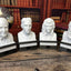Stephen Hawking - Talking Busts - Plastic Collectible Toy - Press The Button for a Quote or Fun Fact