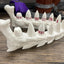 Dragon Fang Dice Set with Jaw Dice Holder - Dragon Teeth Dice - 8 Piece D20 Set with D2 - Tabletop Roleplaying Games - Dungeons and Dragons - DND - D&D