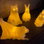 4 Pack Glowing Ghost Dog With LED Tea Lights - Includes Bunny & Cat - Halloween Home Decor - Office Desk - LED Night Light - Spooky