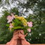 Deku Tree Planter - Inspired by Ocarina of Time - Retro Video Game Home Décor - Trinket Holder - Succulent Planter - Dice Holder - Dice Tray
