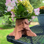 Deku Tree Planter - Inspired by Ocarina of Time - Retro Video Game Home Décor - Trinket Holder - Succulent Planter - Dice Holder - Dice Tray