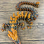 XL 26" Crystal Dragon Fidget Toy - Heavy Duty - 3D Printed Flexible Articulating Dragon Plastic Collectible Figurine - Surprise Egg Compatible