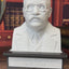 Theodore Roosevelt - Talking Busts - Plastic Collectible Toy - Press The Button for a Quote or Fun Fact
