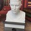 Julius Caesar - Talking Busts - Plastic Collectible Toy - Press The Button for a Quote or Fun Fact