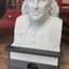 Benjamin Franklin - Talking Busts - Plastic Collectible Toy - Press The Button for a Quote or Fun Fact