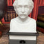 Albert Einstein - Talking Busts - Plastic Collectible Toy - Press The Button for a Quote or Fun Fact